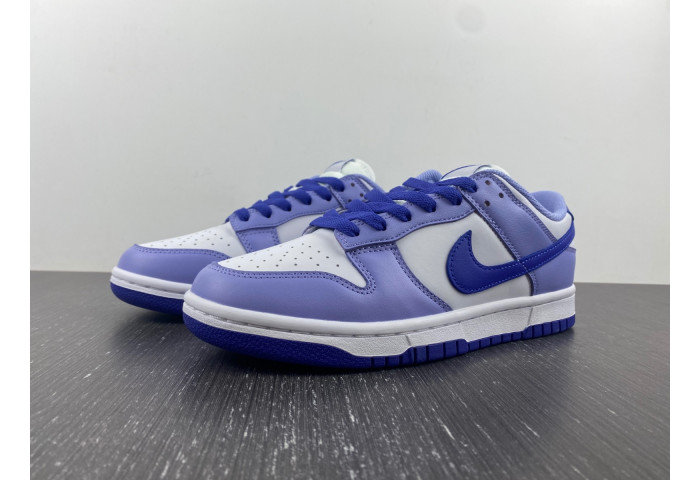Nike Dunk Low GS "Blueberry" DZ4456-100