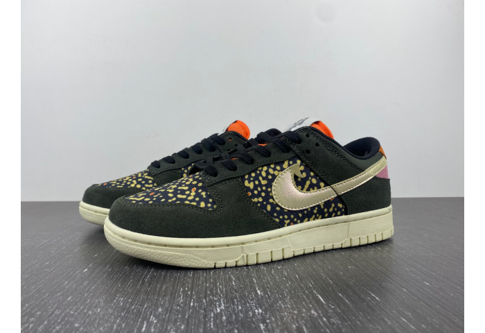Nike Dunk Low Rainbow Trout FN7523-300
