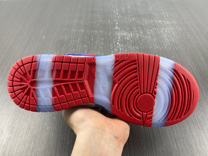 ebay x nike sb dunk low sandy bodecker fd8777-100