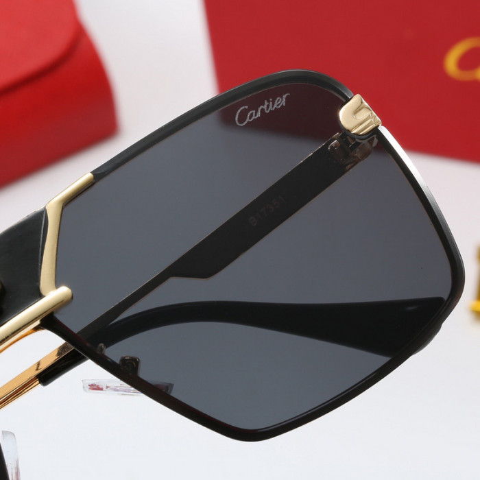Ca*t1er sunglasses 24628-5