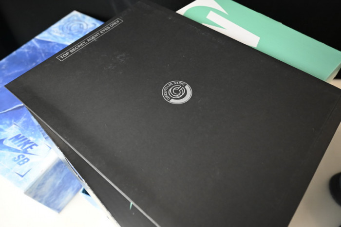 concepts x dunk low sb 