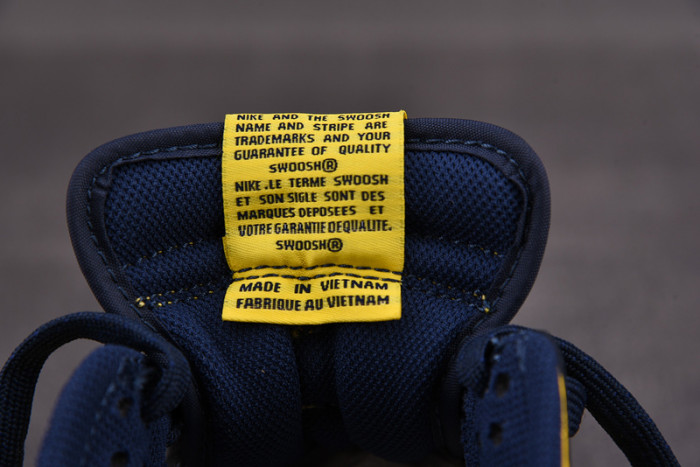nike dunk low michigan dd1391-700