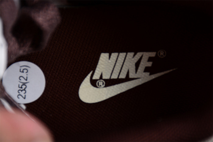 nike dunk low "plum eclipse" fj4734-100