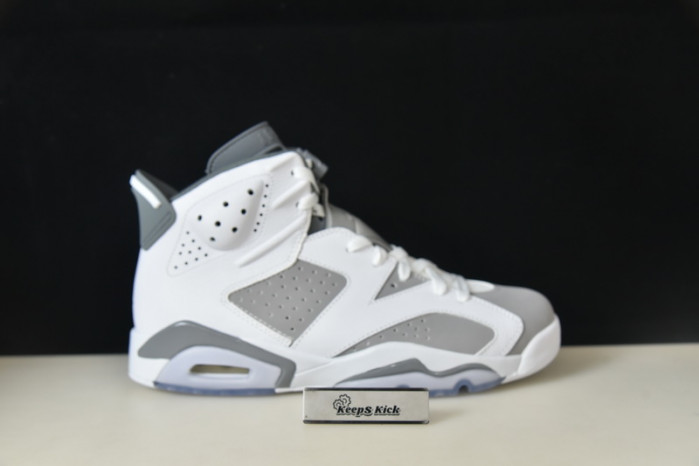 air jordan 6 "cool grey" ct8529-100