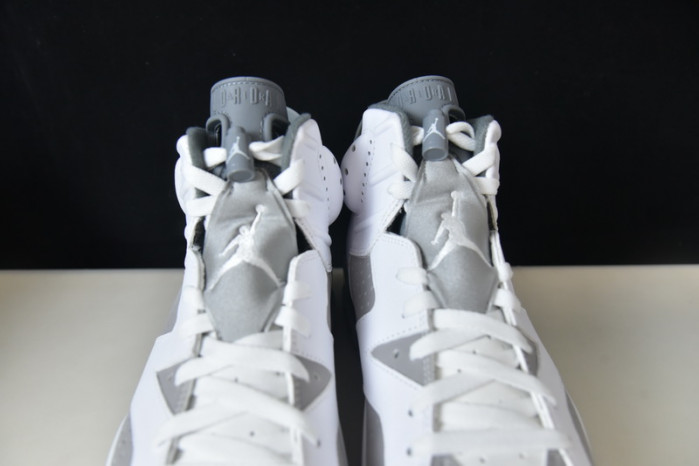 air jordan 6 "cool grey" ct8529-100