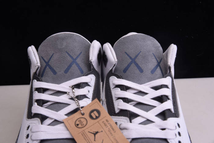 KAWS x Air Jordan 3 Company Grey